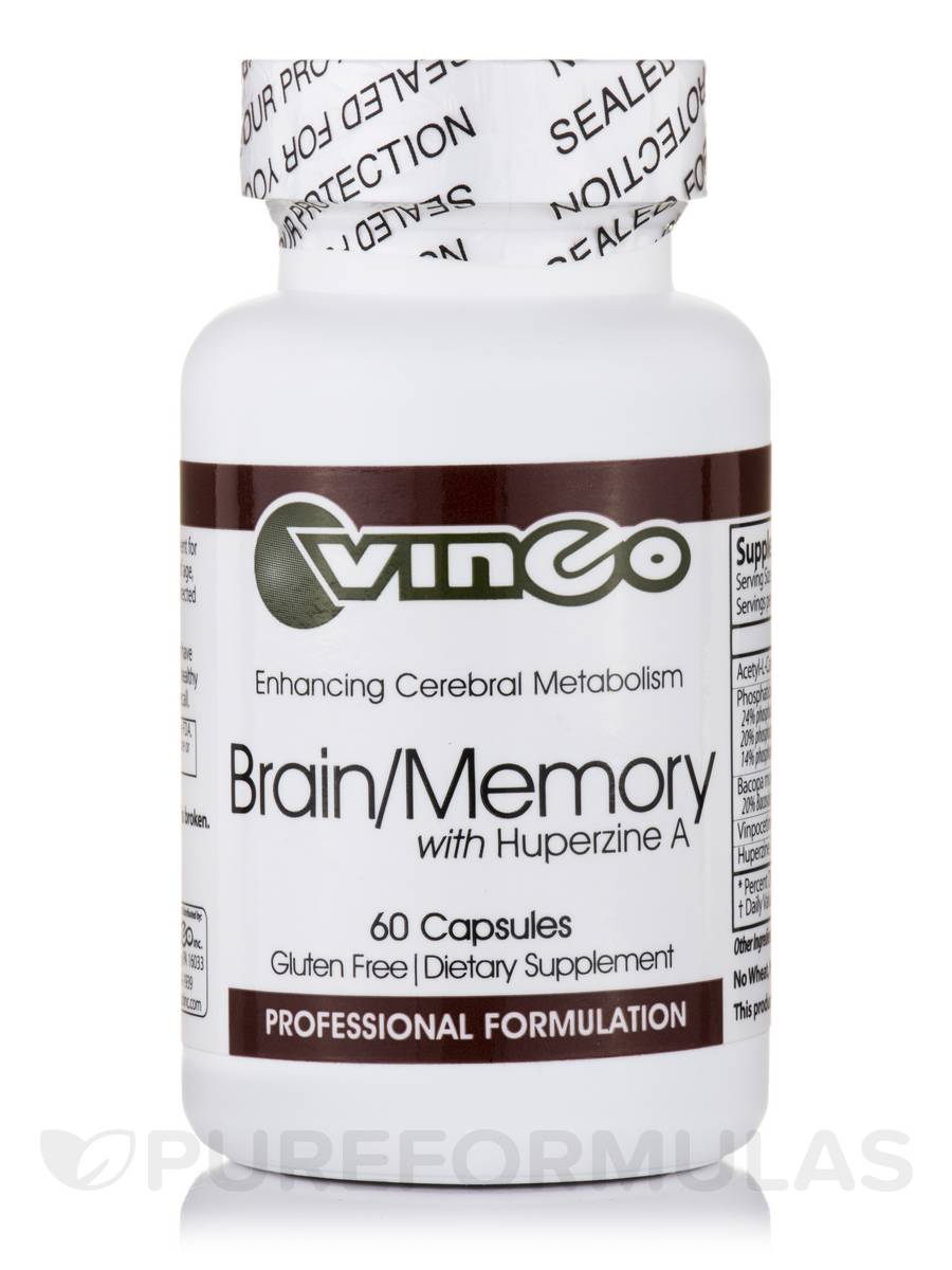 Brain/Memory